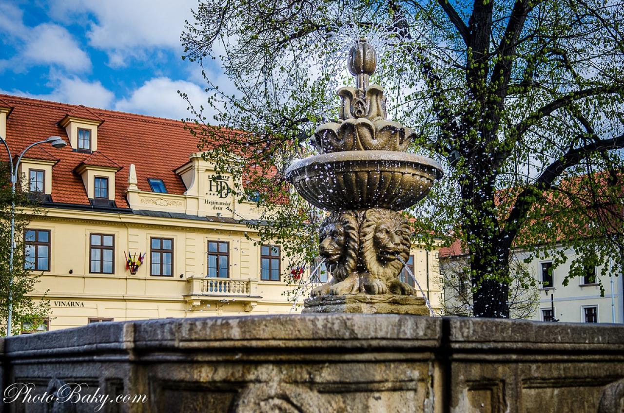 Hotel Hejtmansky Dvur Slaný Exterior foto